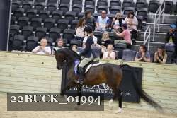 22BUCK_01994 proof
