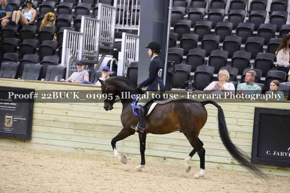 Proof 22BUCK_01995