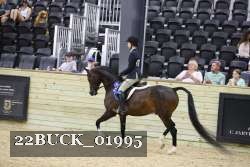 22BUCK_01995 proof