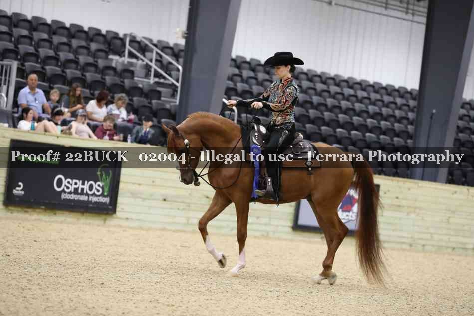 Proof 22BUCK_02004
