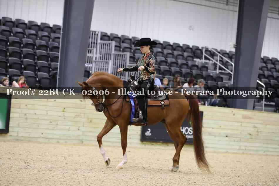 Proof 22BUCK_02006