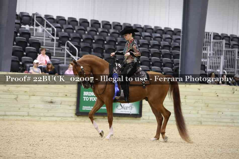 Proof 22BUCK_02007