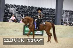 22BUCK_02007 proof