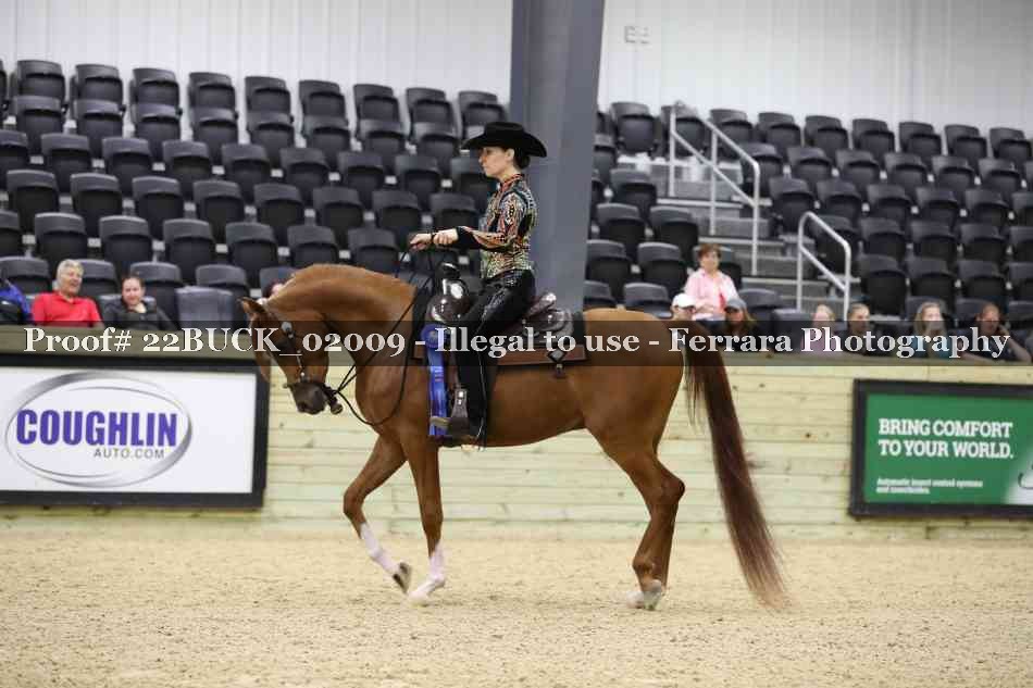 Proof 22BUCK_02009