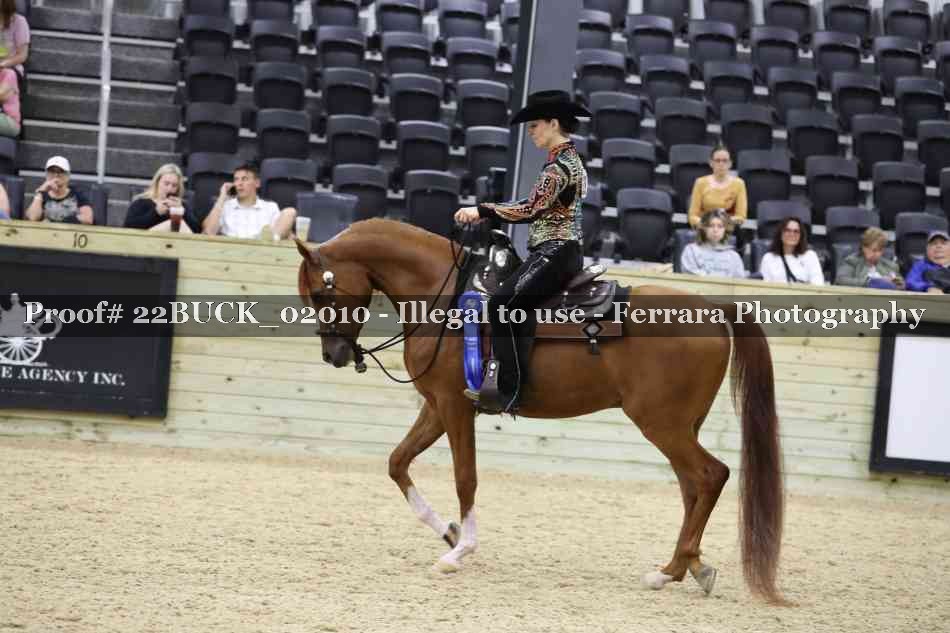 Proof 22BUCK_02010