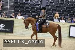 22BUCK_02010 proof