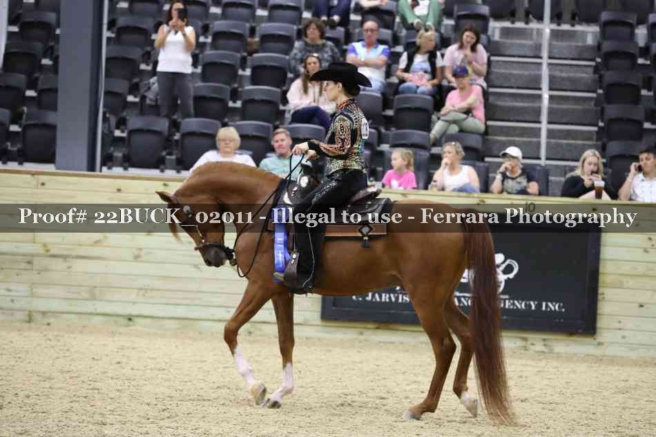 Proof 22BUCK_02011