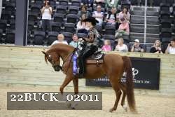 22BUCK_02011 proof
