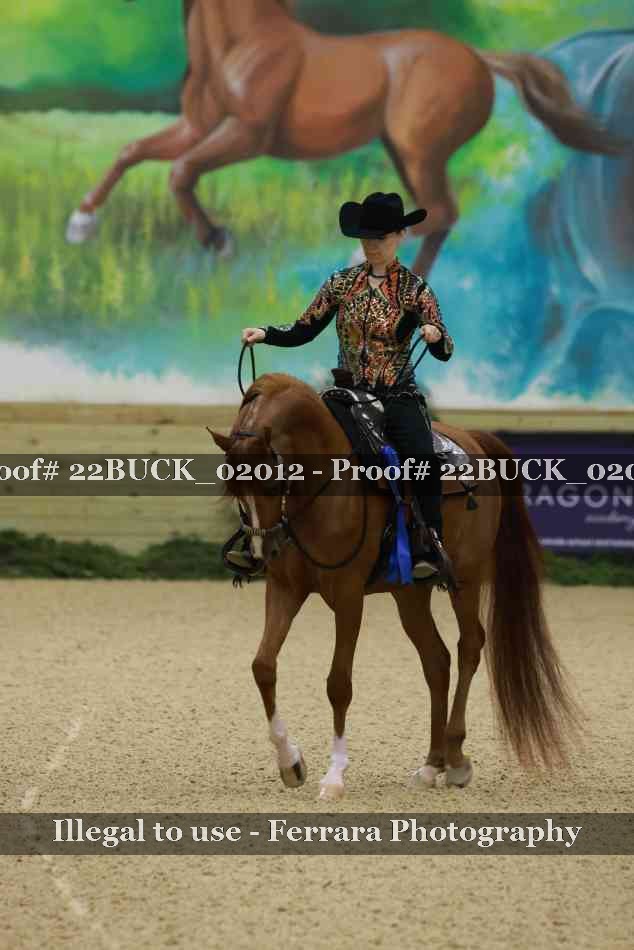 Proof 22BUCK_02012