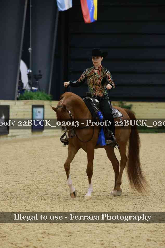 Proof 22BUCK_02013