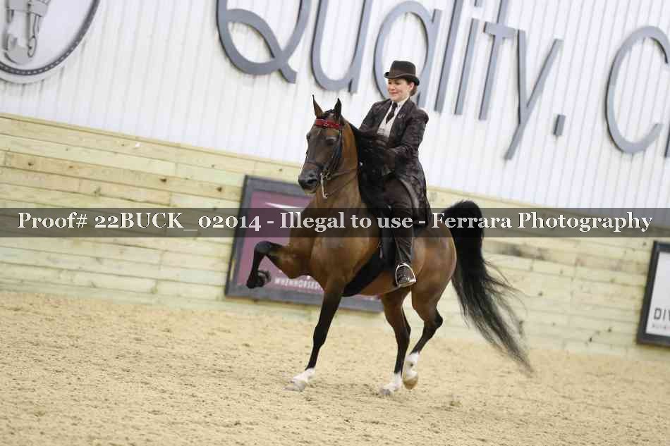 Proof 22BUCK_02014