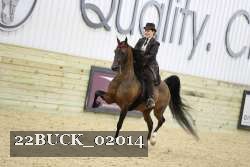22BUCK_02014 proof