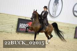 22BUCK_02015 proof