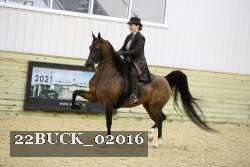 22BUCK_02016 proof