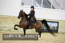 22BUCK_02017 proof