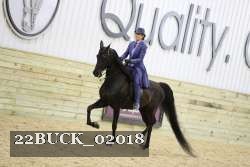 22BUCK_02018 proof