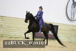 22BUCK_02019 proof