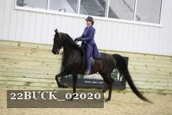 22BUCK_02020 proof