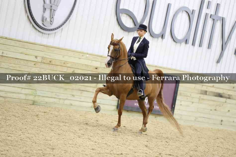 Proof 22BUCK_02021
