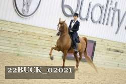 22BUCK_02021 proof