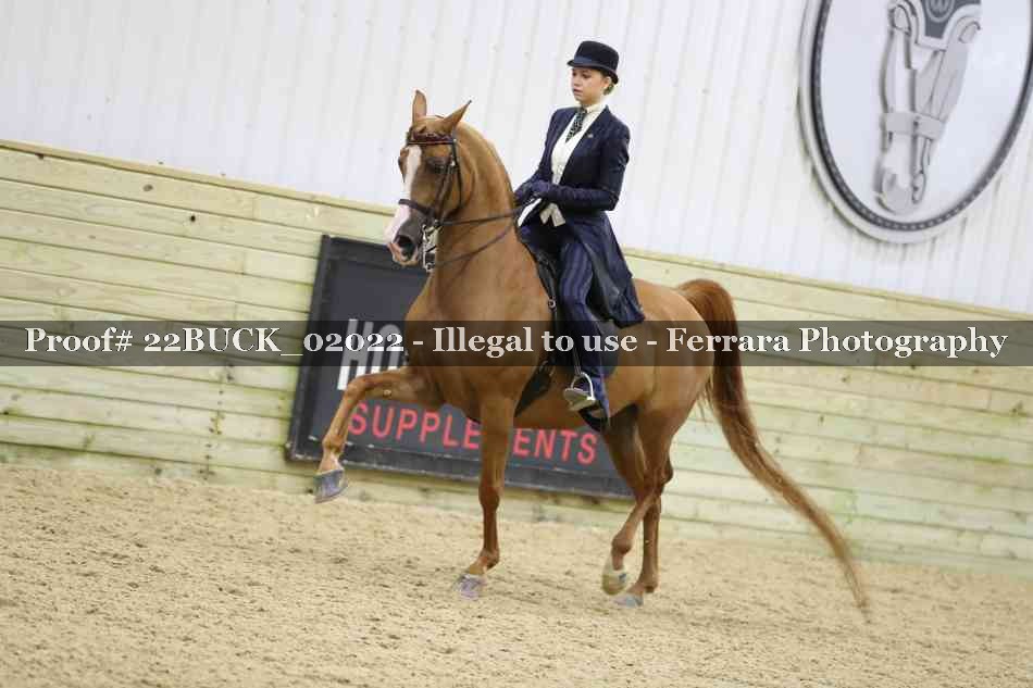 Proof 22BUCK_02022