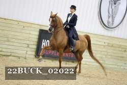 22BUCK_02022 proof