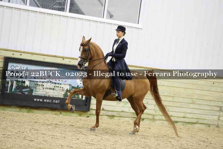 Proof 22BUCK_02023