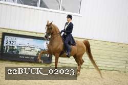 22BUCK_02023 proof