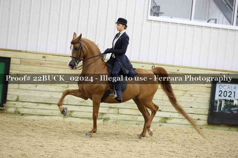 Proof 22BUCK_02024