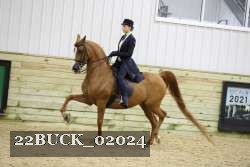 22BUCK_02024 proof