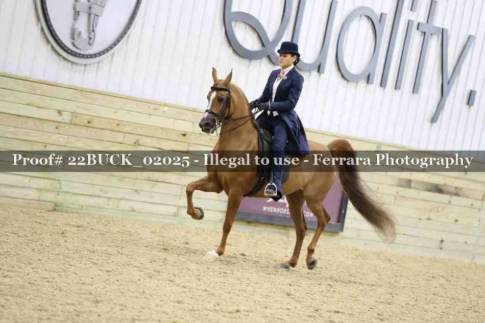 Proof 22BUCK_02025