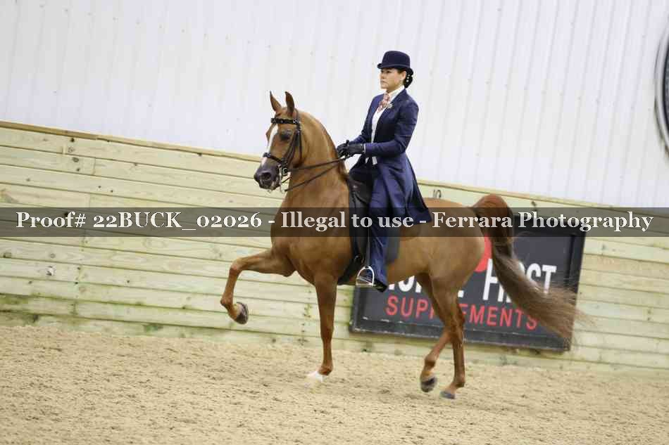 Proof 22BUCK_02026