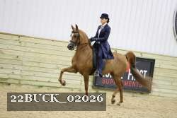 22BUCK_02026 proof