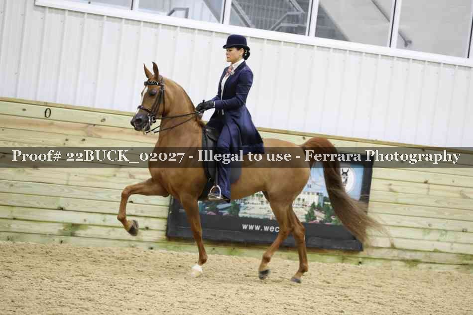 Proof 22BUCK_02027