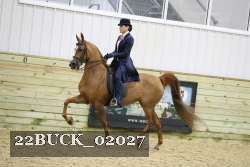 22BUCK_02027 proof