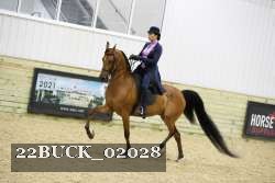 22BUCK_02028 proof