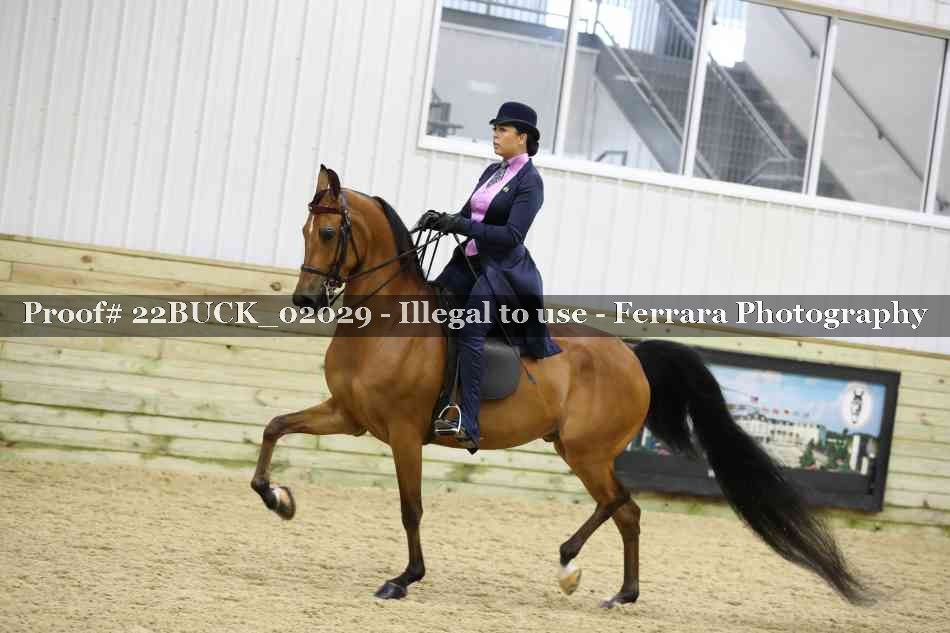 Proof 22BUCK_02029