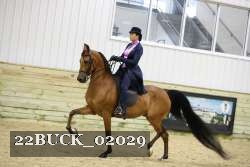 22BUCK_02029 proof
