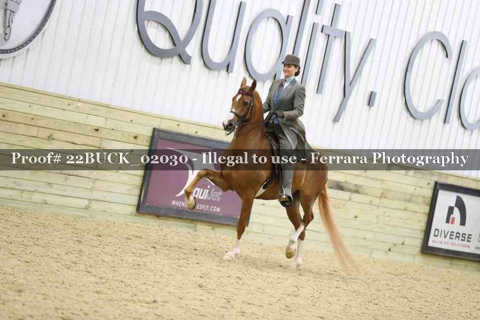 Proof 22BUCK_02030