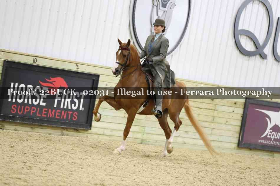 Proof 22BUCK_02031