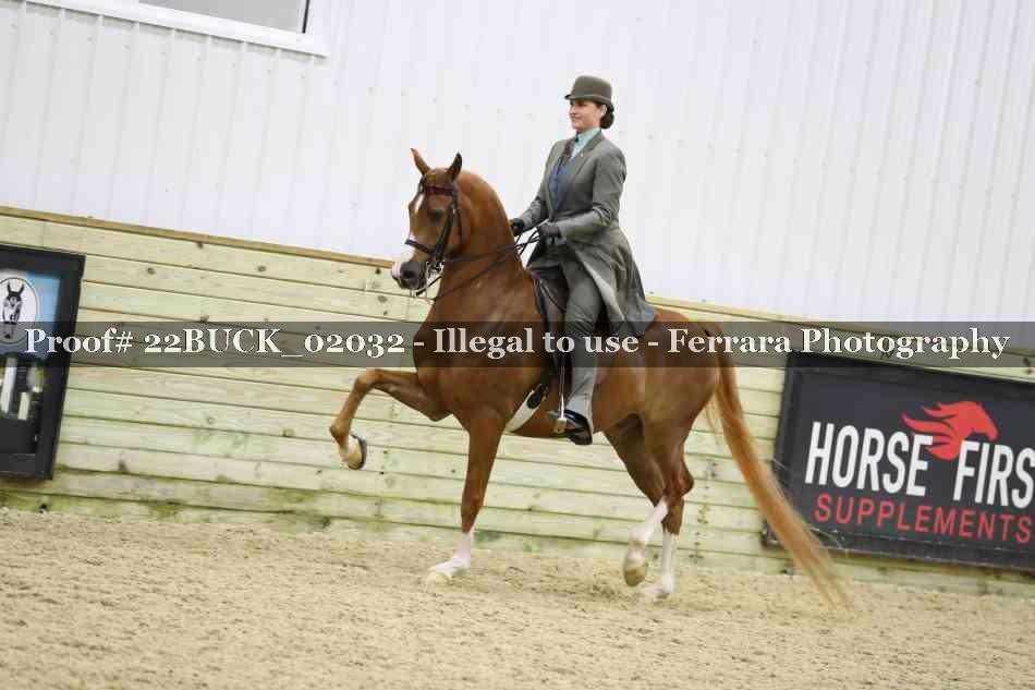 Proof 22BUCK_02032