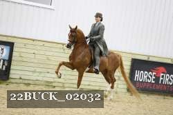 22BUCK_02032 proof