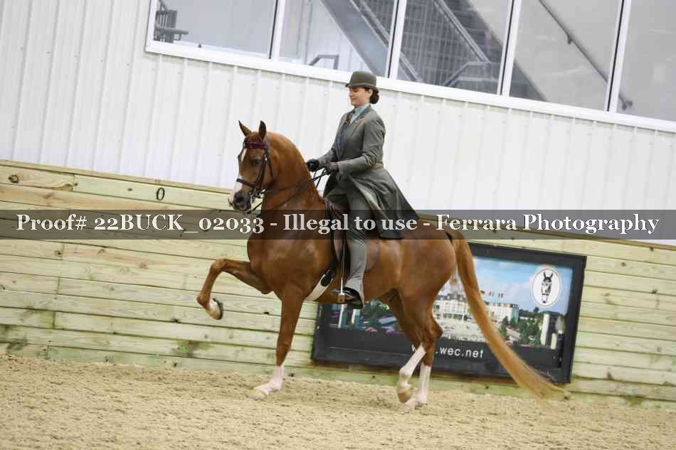 Proof 22BUCK_02033