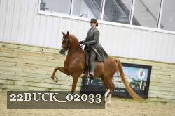 22BUCK_02033 proof