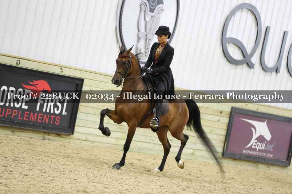 Proof 22BUCK_02034