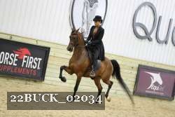 22BUCK_02034 proof