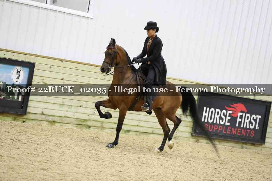 Proof 22BUCK_02035