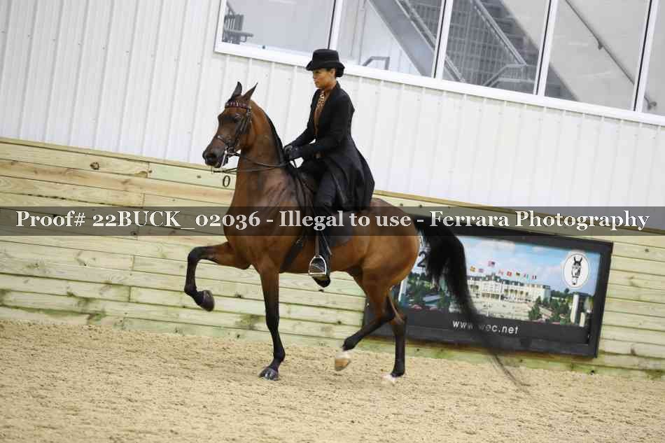 Proof 22BUCK_02036