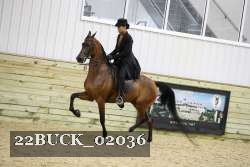 22BUCK_02036 proof