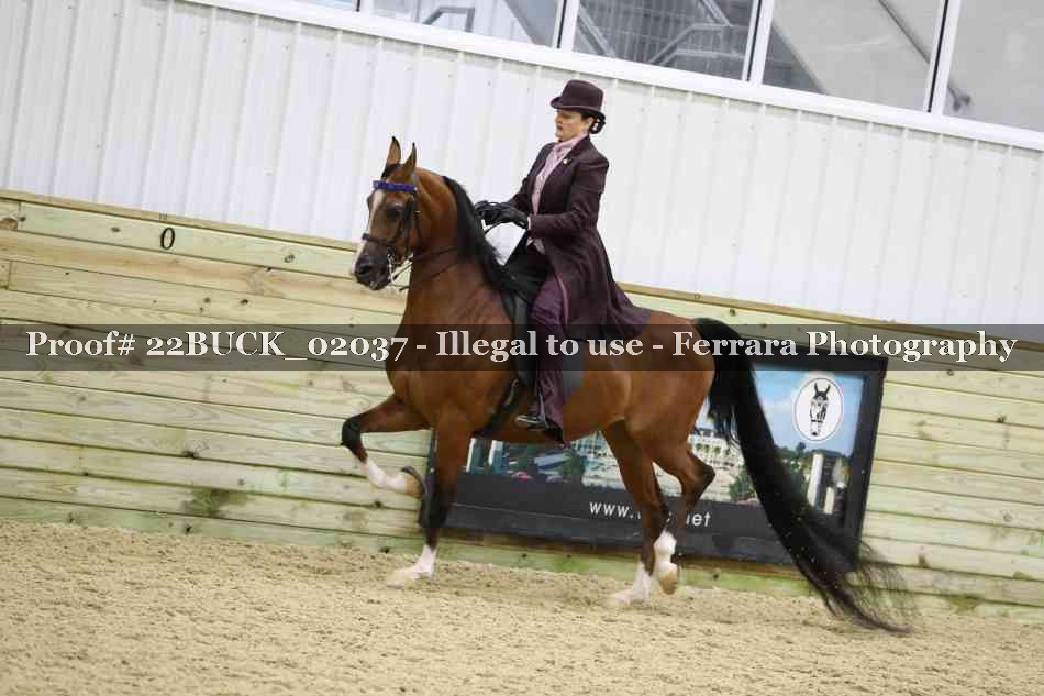 Proof 22BUCK_02037